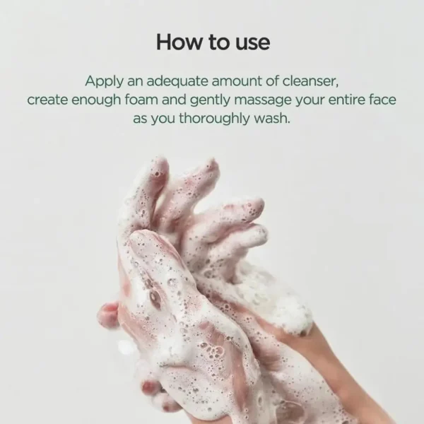 Heartleaf Pore Deep Cleansing Foam - 150ml - Image 2