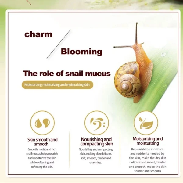 Snail Collagen Face Cream Set - 60ML - Image 2
