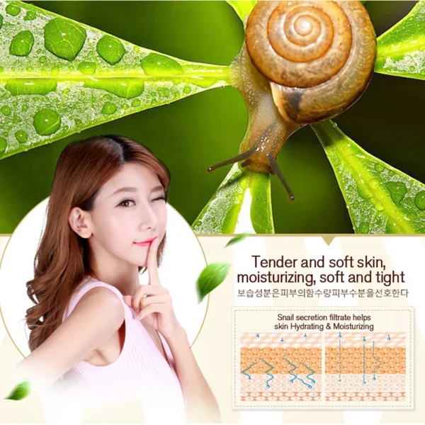 Snail Collagen Face Cream Set - 60ML - Image 4